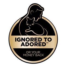 Ignore to Adored Lockup