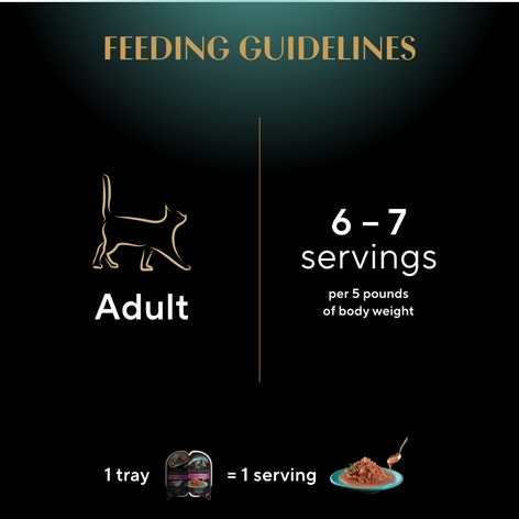 SHEBA® GRAVY INDULGENCE™ PERFECT PORTIONS™  Salmon Entrée in Extra Gravy image 1