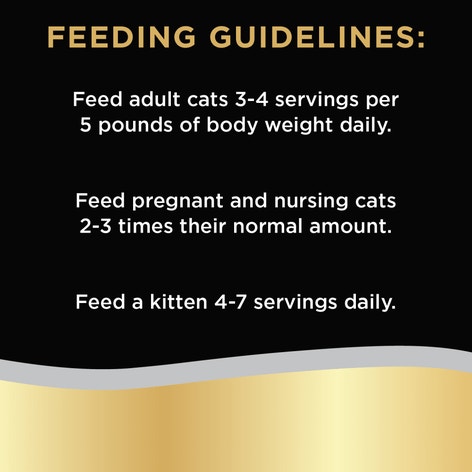 SHEBA® BISTRO PERFECT PORTIONS™ Paté Signature Seafood Entrée image 1