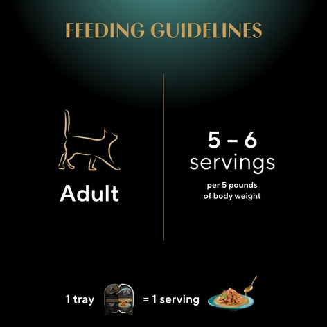 SHEBA® GRAVY INDULGENCE™ PERFECT PORTIONS™  Chicken Entrée in Extra Gravy image 1