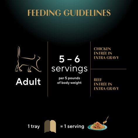 SHEBA® GRAVY INDULGENCE™ PERFECT PORTIONS™  Chicken & Beef Entrée in Extra Gravy image 1