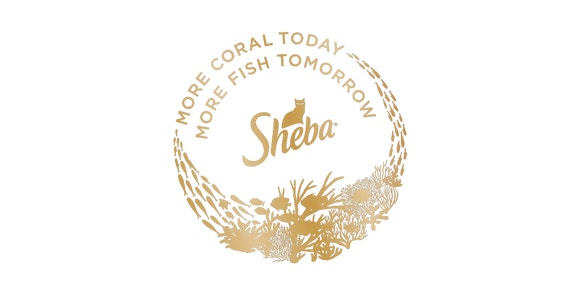 Sheba: More Coral Today, More Fish Tomorrow