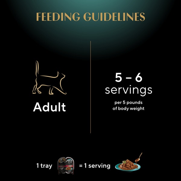 SHEBA® GRAVY INDULGENCE™ PERFECT PORTIONS™  Beef Entrée in Extra Gravy image 2