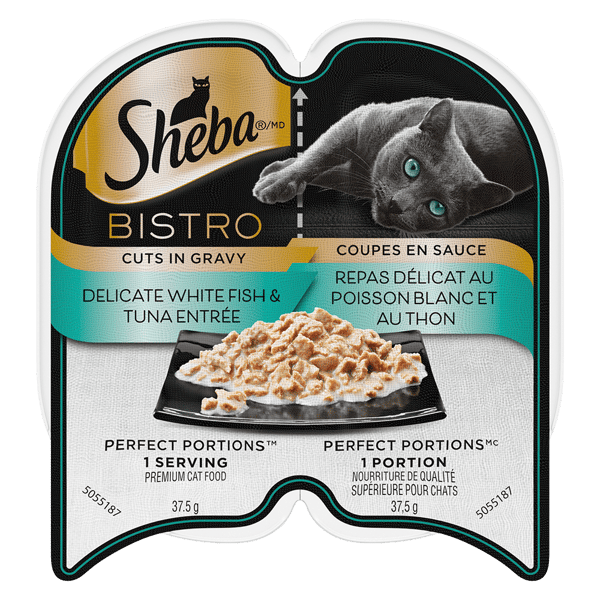 Sheba gravy cat food hot sale