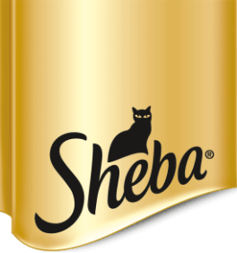 Sheba dog food online